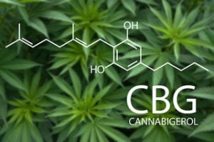 Cannafitness_CBG