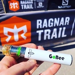 Bee-Nails_GoBee Portable Vaporizer