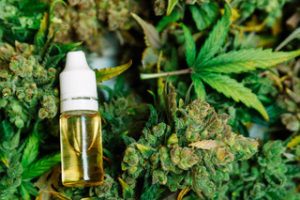 full spectrum CBD oil