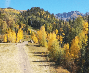 Fall Foliage Trips