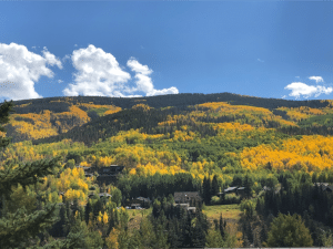 Fall Foliage Trips