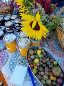 The Harvest Party – a unique event hosted by the nonprofit, Groundwork Denver in sponsorship with Yerba Mate Tea.