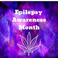 Epilepsy Awareness Month copy