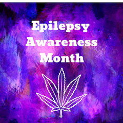 Epilepsy Awareness Month