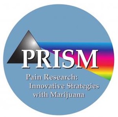Prism study logo