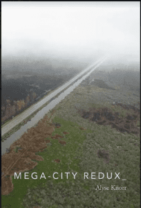 Mega-City Redux by Alyse Knorr