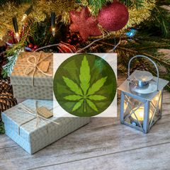 cannabis gift guide feature