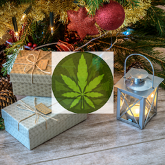 cannabis gift guide