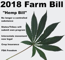 The Farm Bill