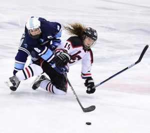 Hockey player stealing the puck