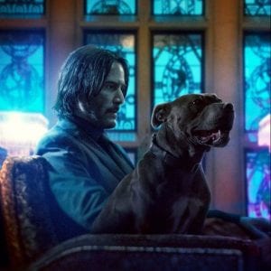 John wick and daisy