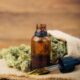 full spectrum CBD oil