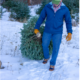 Christmas tree hunting